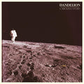 Carolina Story: Dandelion - COMPACT DISCS