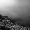 Fullman, Ellen & Wong, Theresa: Harbors [ Vinyl ]