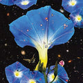 Sarah Louise: Nighttime Birds And Morning Stars [ Vinyl ]