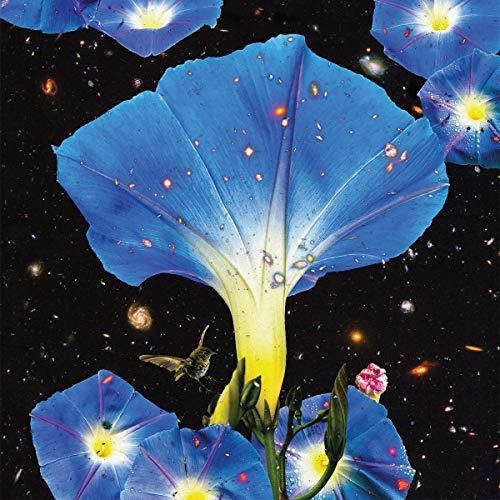 Sarah Louise: Nighttime Birds And Morning Stars [ Vinyl ]