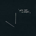 Ant Orange: You're Super In Diagonal - COMPACT DISCS