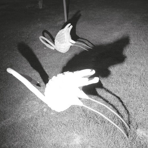 Siavash Amini: A Mimesis of Nothingness [ Vinyl ]
