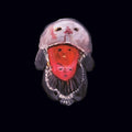 Kassel Jaeger: Meith [ Vinyl ]