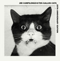 Jim Campilongo: Jim Campilongo & Ten Gallon Cats - VINYL