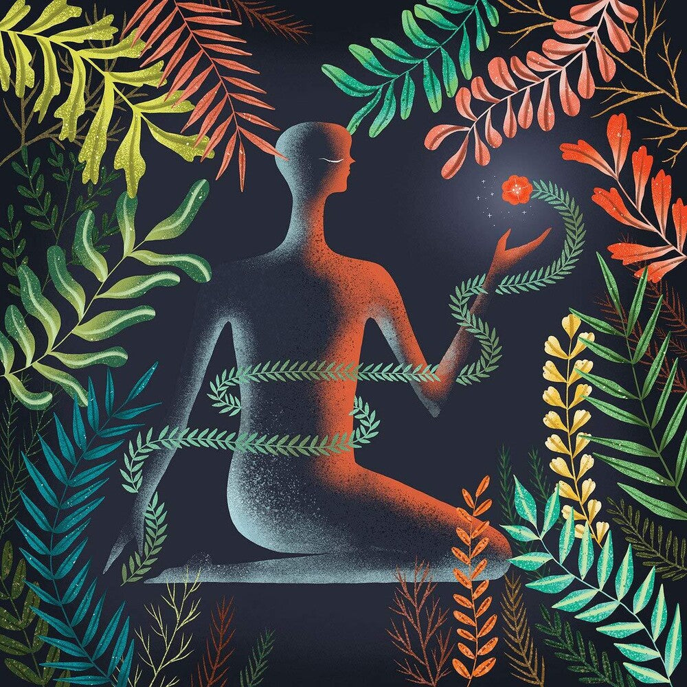 Loma - Don't Shy Away - LP [ Record ]