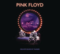 Pink Floyd: Delicate Sound Of Thunder  2CD - CD