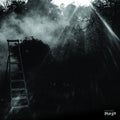 Friedl, Reinhold & Abecassis, Eryck: Animal Electrique [ Vinyl ]