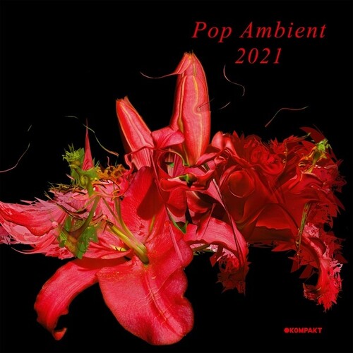 Various Artists: Pop Ambient 2021 (Various Artists) [ Vinyl ]