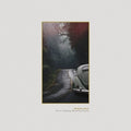 Steve Bug: Never Ending Winding Roads [ Vinyl ]