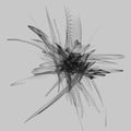 Ricardo Donoso: Quintesence [ Vinyl ]