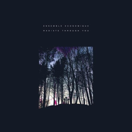 Ensemble Economique: Radiate Through You [ Vinyl ]