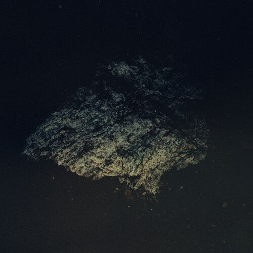 Multicast Dynamics: Lost World [ Vinyl ]