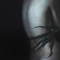 Sexores: Salamanca [ Vinyl ]