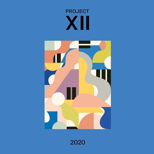 Various Artists: Xii 2020 [ Vinyl ]