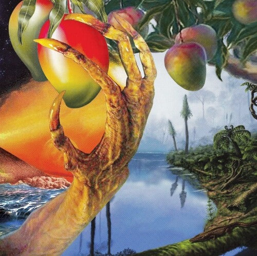 Timelash: A Morphology Of Wonders [ Vinyl ]