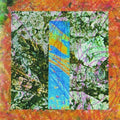 Merzbow: Rainbow Electronics [ Vinyl ]