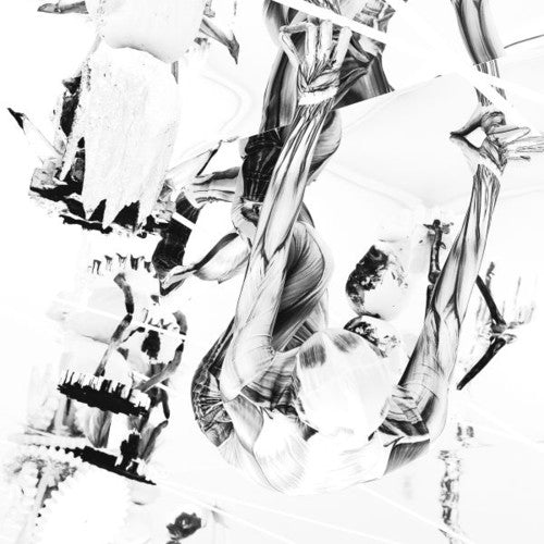 Belp: Crocodile [ Vinyl ]