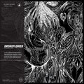 Marissa Nadler & Stephen Brodsky: Droneflower { CD }