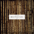 Steve Moore: Beloved Exile [ Vinyl ]