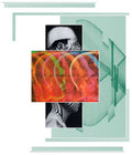 Terrine: Cheat Days [ Vinyl ]