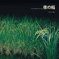 Kudo, Reiko: Rice Field Silently Riping in the Night [ Vinyl ]