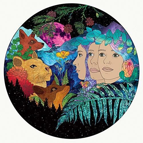 T Sisters: We Are Bound [ Vinyl ]