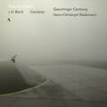 Bach, J.S. / Rademann: Stay Ye Angels { CD }