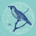 Genius of Time: Peace Bird [ Vinyl ]