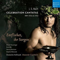 Bach / Grychtolik, Alexander: Bach: Celebration Cantatas-Blast Larme - COMPACT DISCS