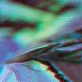 Birds of Prey: Vanishing Point [ Vinyl ]