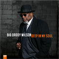 Big Daddy Wilson: Deep In My Soul [ Vinyl ]
