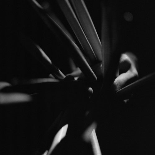 Andrea Belfi: Strata [ Vinyl ]