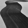 Rainer Veil: Vanity [ Vinyl ]