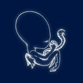 Sigur Ros: Agaetis Byrjun - VINYL