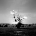 Kazuya Nagaya: Dream Interpretation (Remixes) [ Vinyl ]