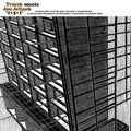 Triosk / Elinek, Jan: 1 + 3 + 1 [ Vinyl ]
