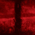Novae Militiae: Topheth - VINYL