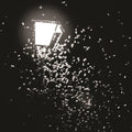 Amantra / Mothboy: Ten Thousand Swerves / G & C - 7-INCH SINGLE