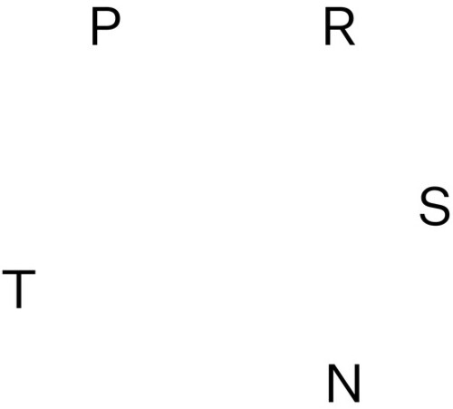 Various Artists: PRSNT / VARIOUS [ Vinyl ]