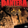 Pantera - The Great Southern Trendkill - LP [ Record ]