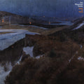 The Mountain Goats - The Mountain Goats - Indie LP [ Record ]