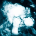 Sandra Monfort: Nino Reptil Angel - VINYL