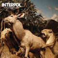 Interpol - Our Love To Admire - LP [ Record ]