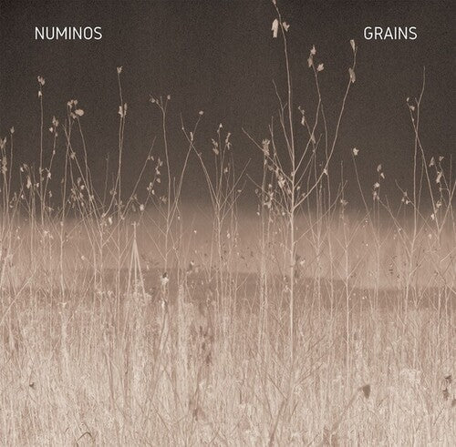 Numinos: Grains [ Vinyl ]