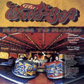 The Waterboys - Room To Roam - LP [ Record ]