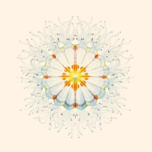 Charlie Charlie: Litte Things [ Vinyl ]