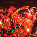 Trey Anastasio -  Burn It Down - LP [ Record ]