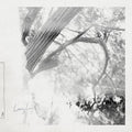 Leaving Laurel: Leaving Laurel [ Vinyl ]