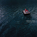 Dar Williams: I'll Meet You Here { CD }