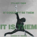 Guided by Voices - It's Not Them. It Couldn't Be Them. It Is Them! - LP [ Record ]